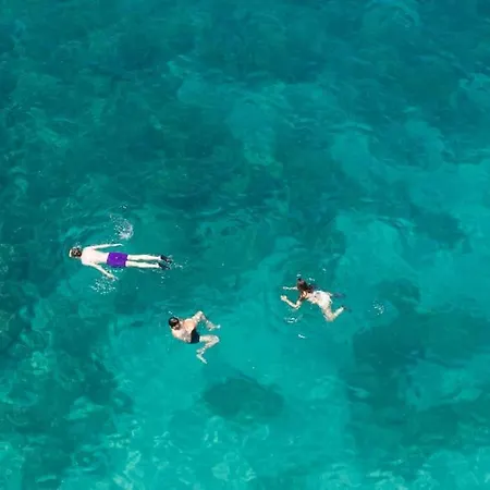 Pollock-bozzi 59 Lejlighed *